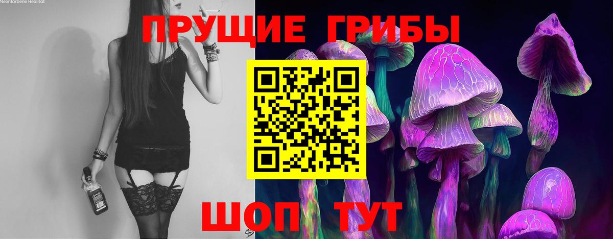 цена наркотик  Галлюциногенные грибы Psilocybine cubensis  Вход с VPN  Костомукша 